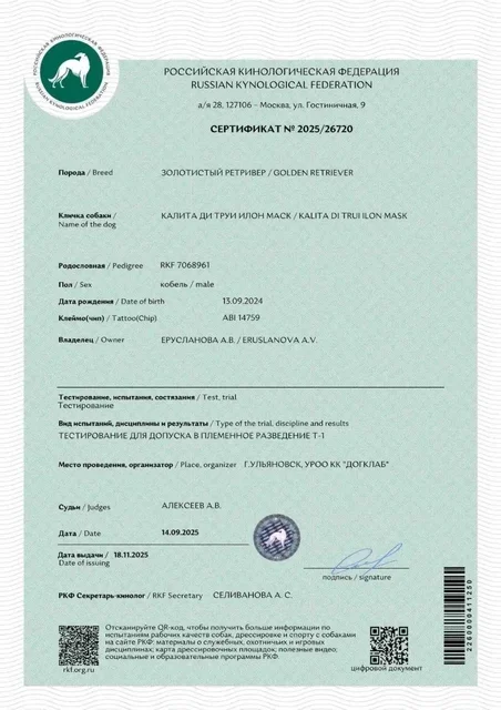 Щенок золотистого ретривера с документами - частное объявление в Ижевск