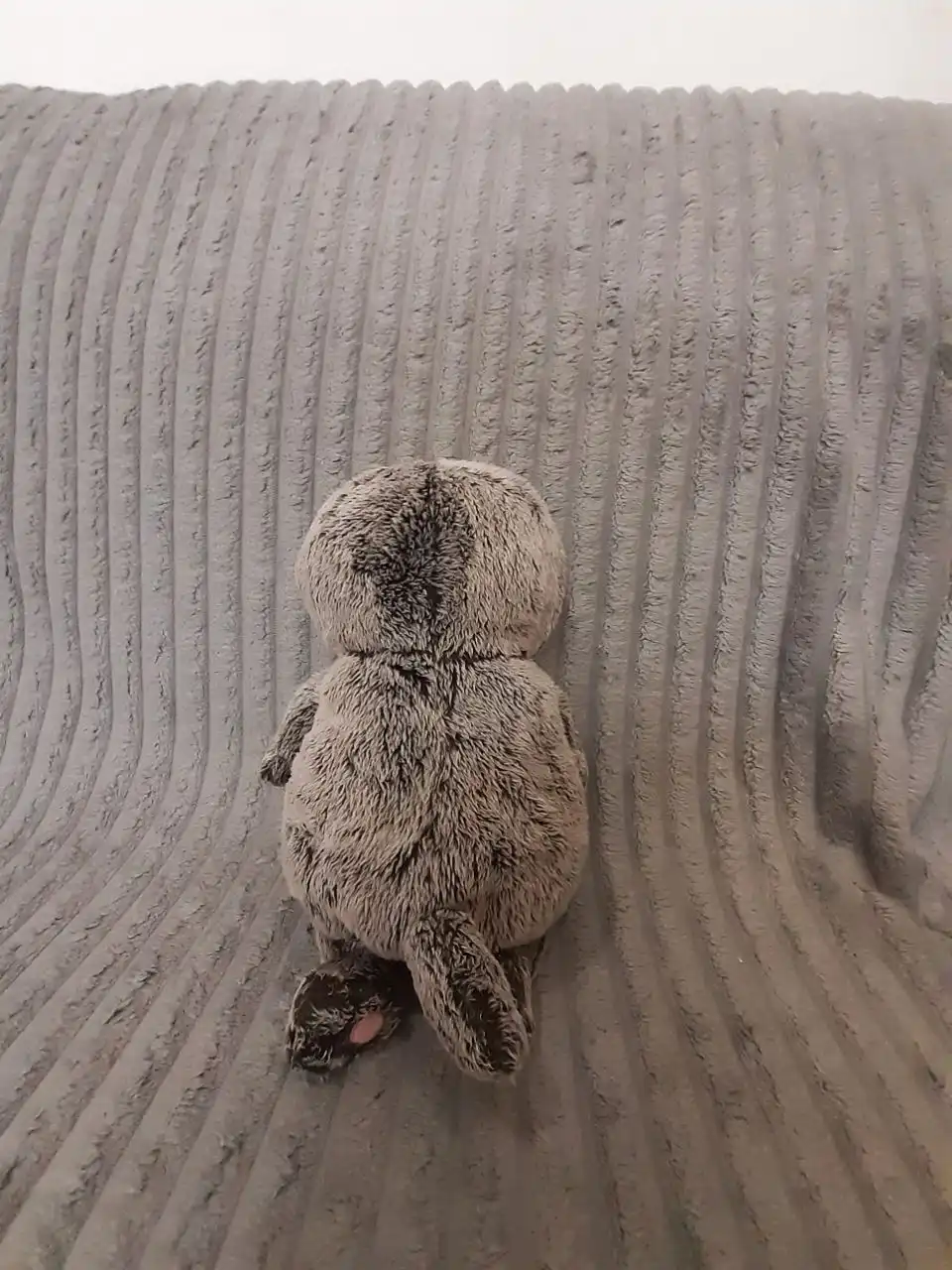 Продажа басика в Тюмени