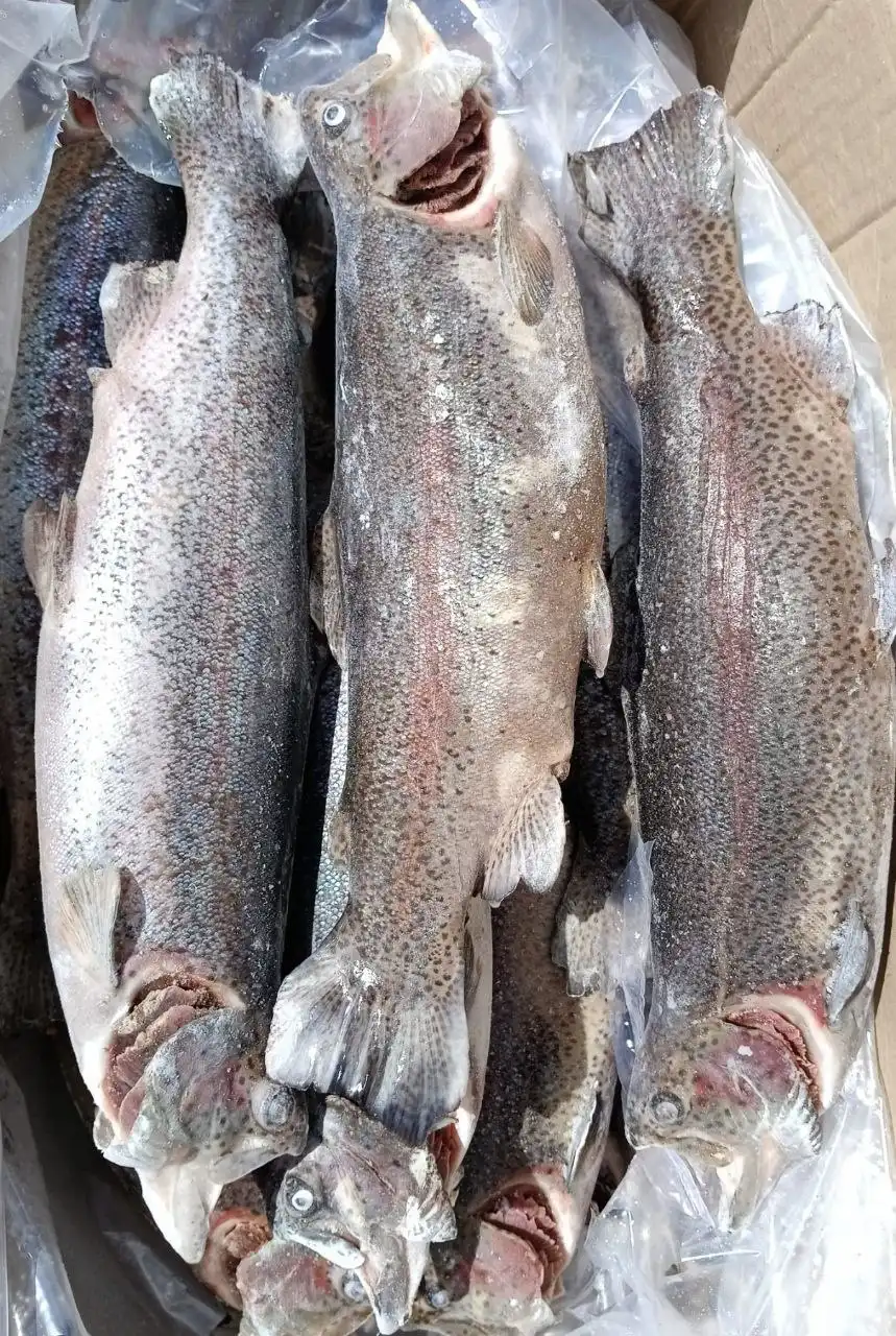 Форель и утенок для запекания к Новому году