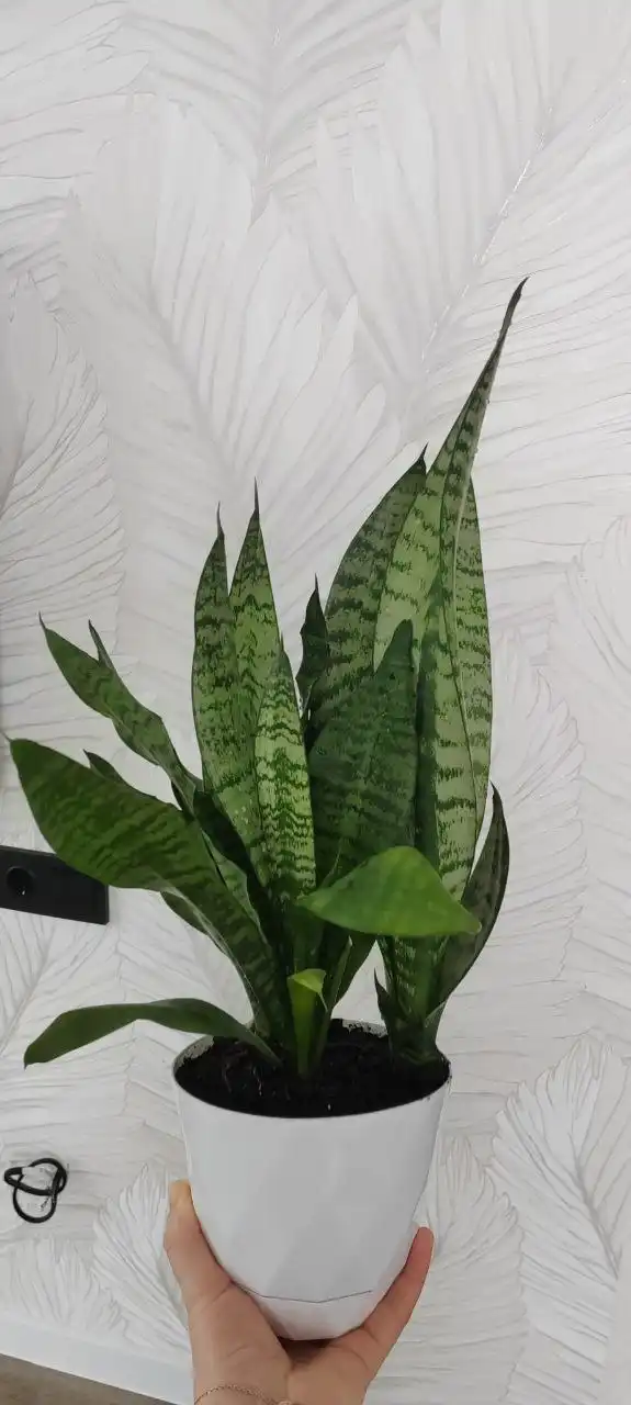 Продажа детских вещей и игрушек в ЖК «Домашний» - Барахолка в Тюмень