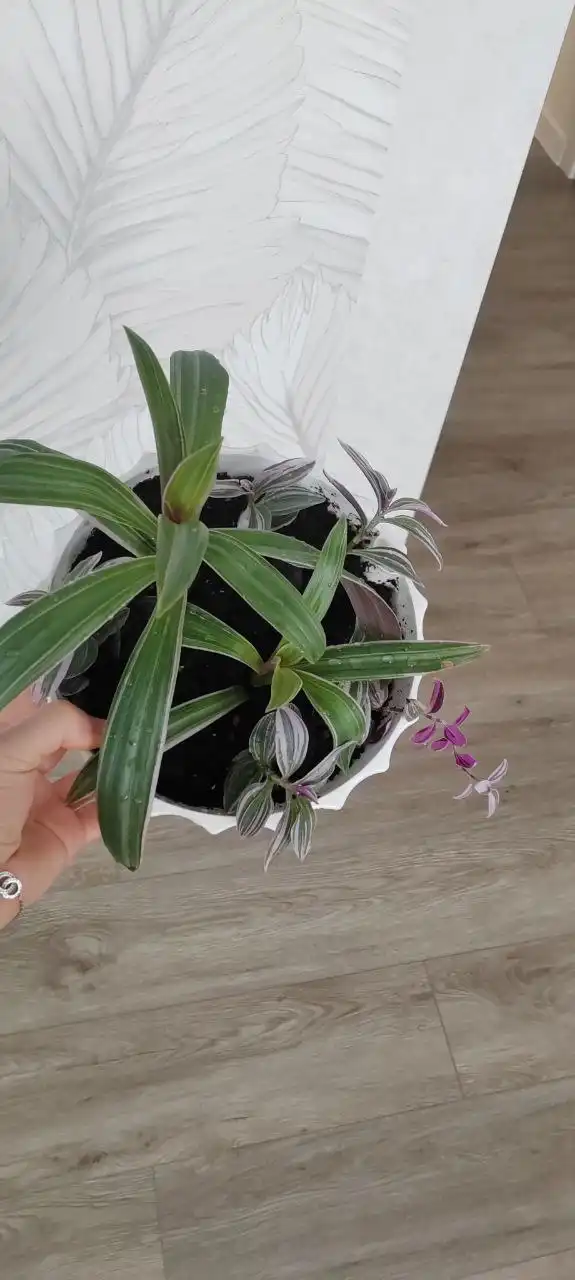 Продажа детских вещей и игрушек в ЖК «Домашний» - Барахолка в Тюмень