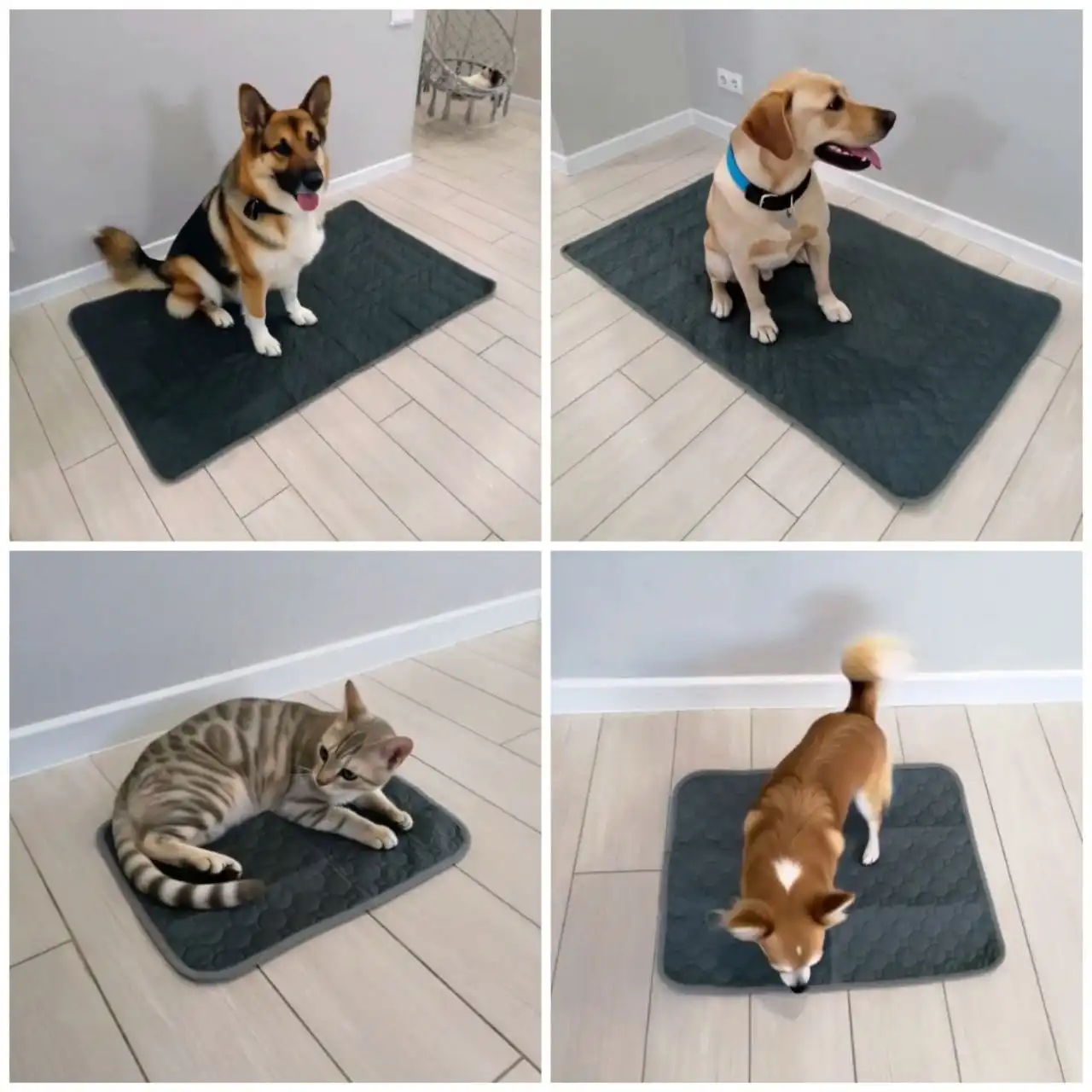 Многоразовые пеленки 4хслойные для животных и дома - Товары для животных (Животные) в Тюмень