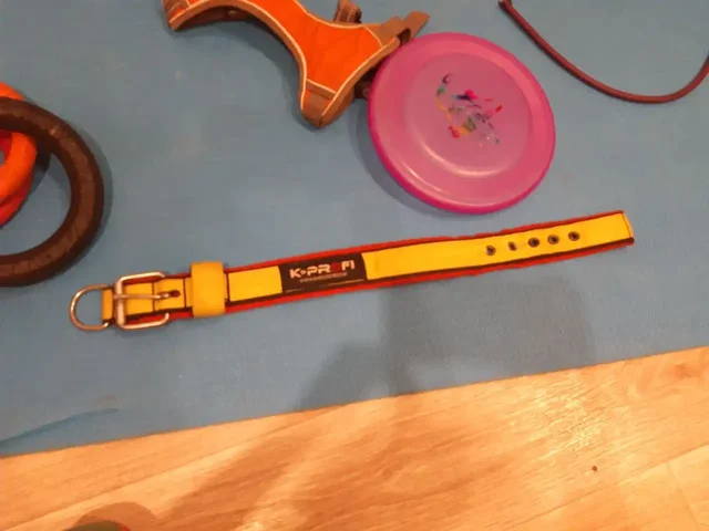 Ошейник, шлейка, комбез, поводки и аксессуары для собак - Товары для животных в Тюмень