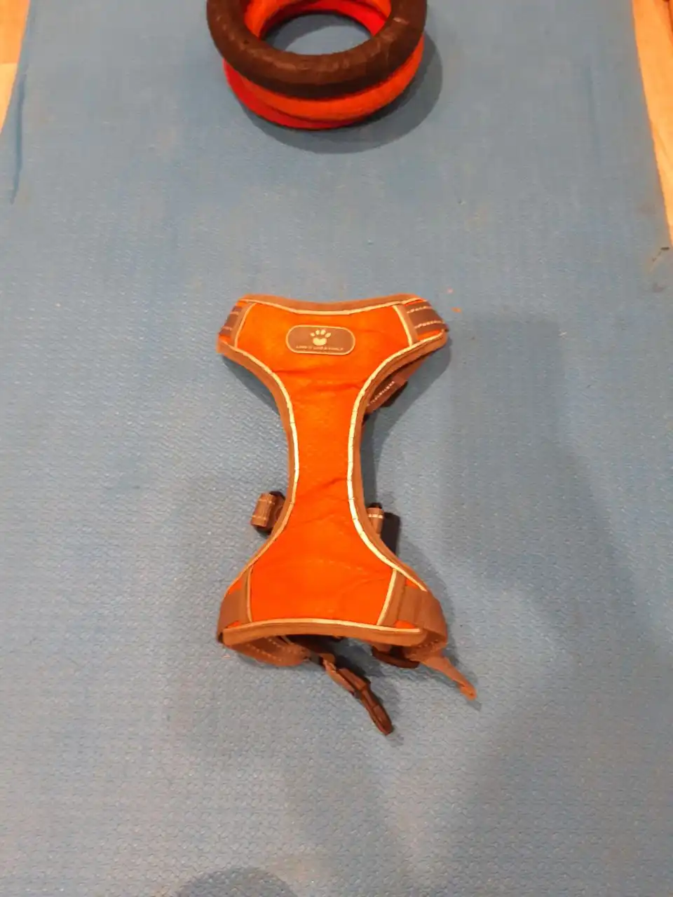 Ошейник, шлейка, комбез, поводки и аксессуары для собак - Товары для животных (Животные) в Тюмень