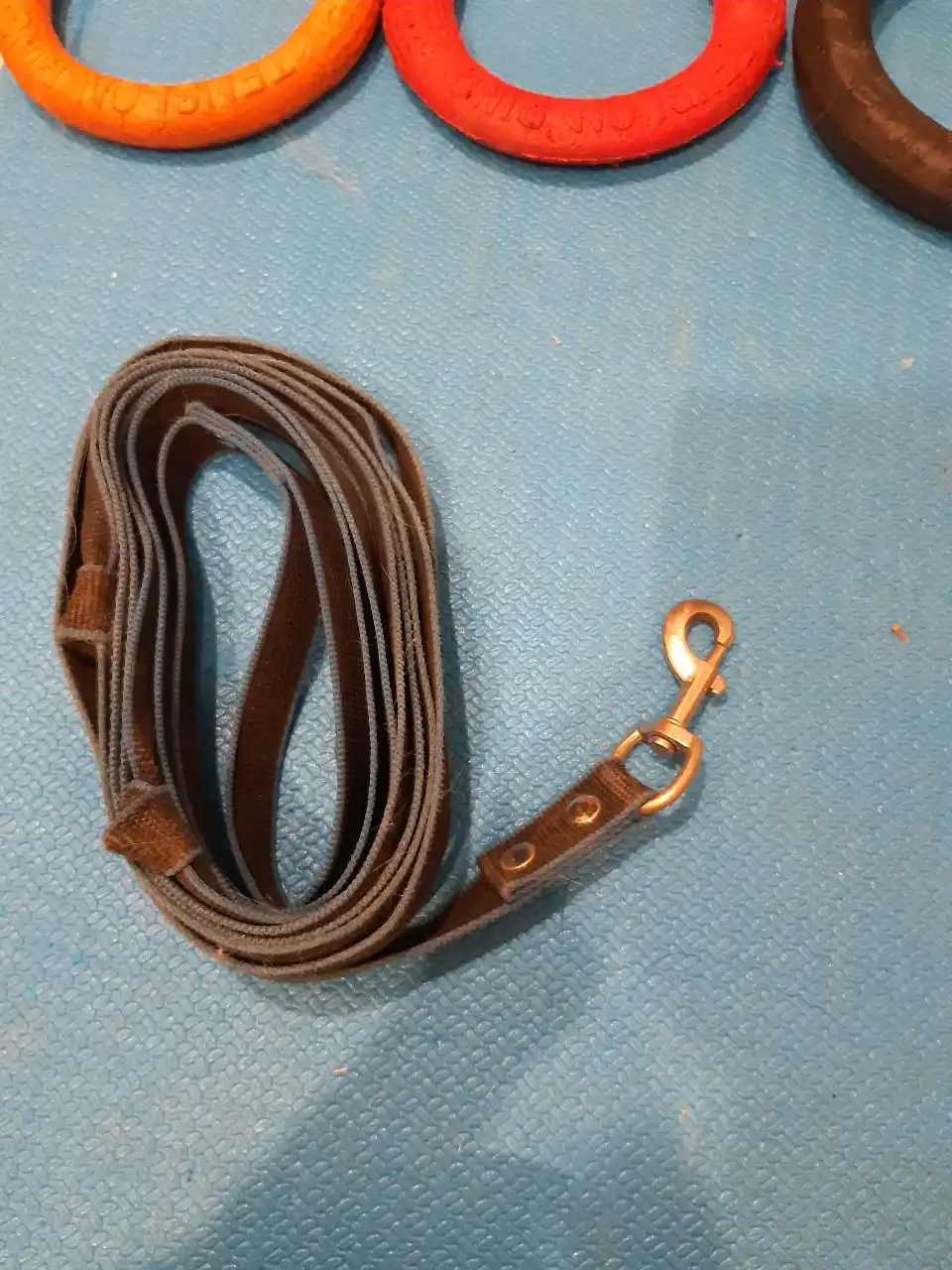 Ошейник, шлейка, комбез, поводки и аксессуары для собак - Товары для животных (Животные) в Тюмень