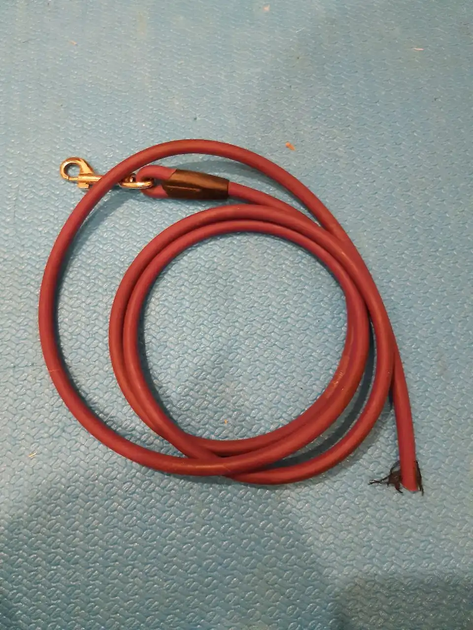 Ошейник, шлейка, комбез, поводки и аксессуары для собак - Товары для животных (Животные) в Тюмень