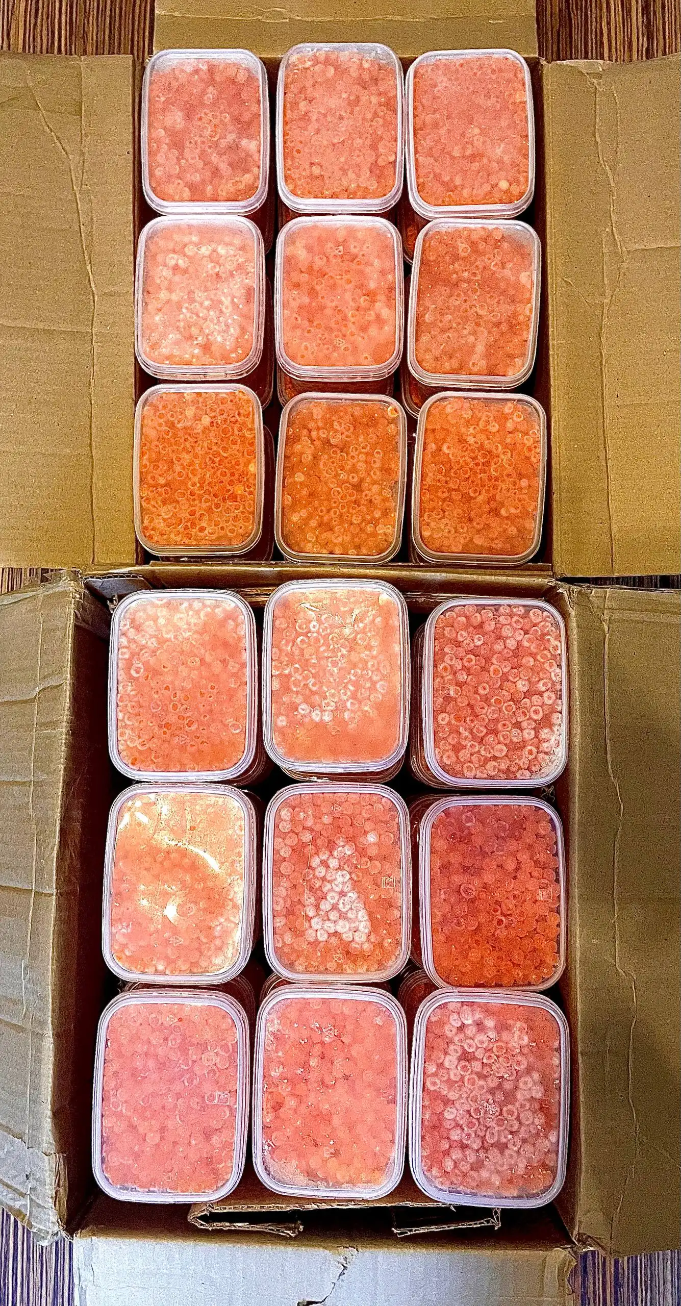 Икра Кеты с Северов Приморья