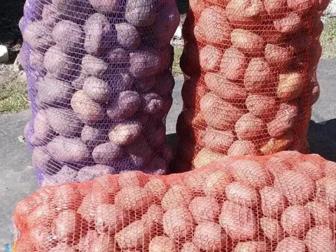 Продам фермерский картофель отборный - Для дома и дачи в Владивосток