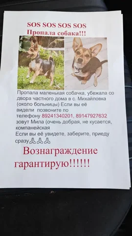 Продам диван-кровать - частное объявление в Владивосток