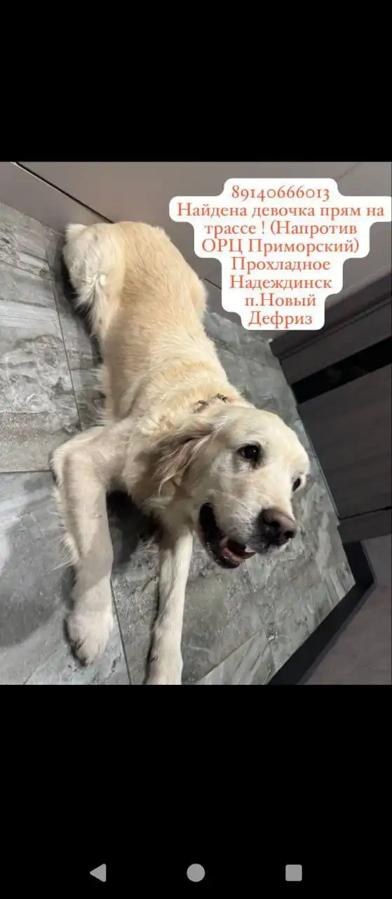 Продажа товара во Владивостоке