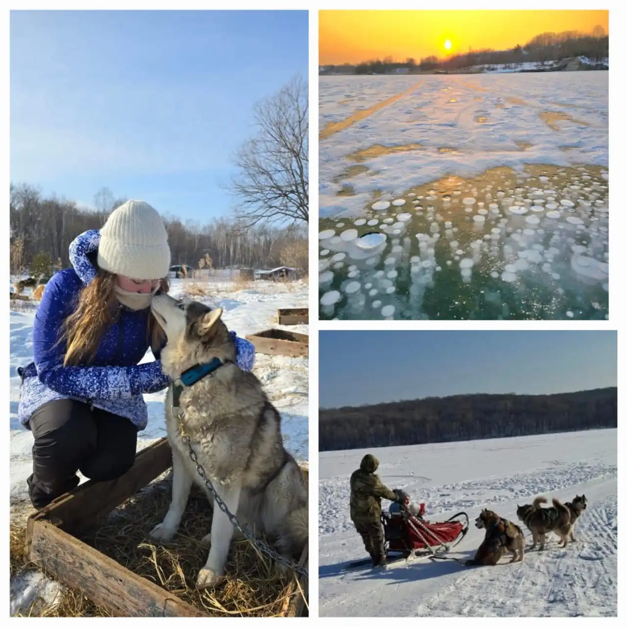 Тур с хасками и посещение озера с байкальским льдом