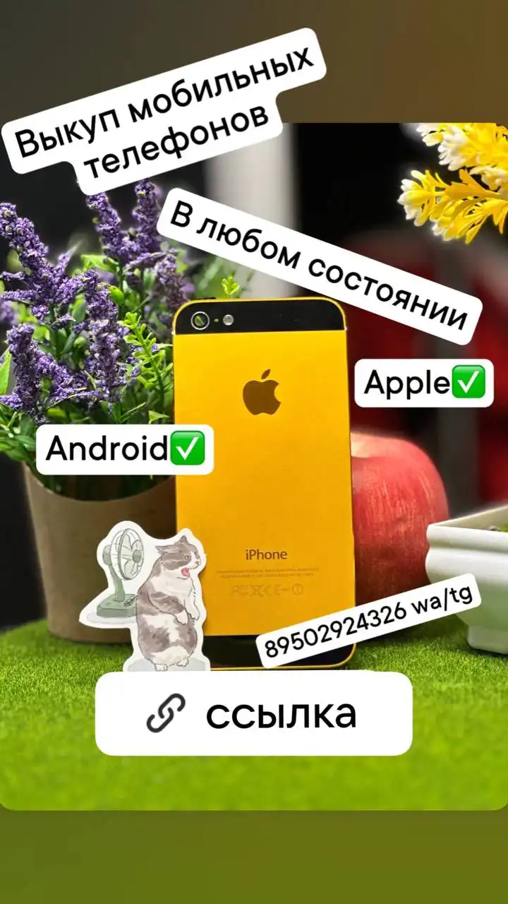 Выкуп старых и разбитых телефонов и айпадов - Мобильные телефоны и планшеты (Электроника) в Владивосток