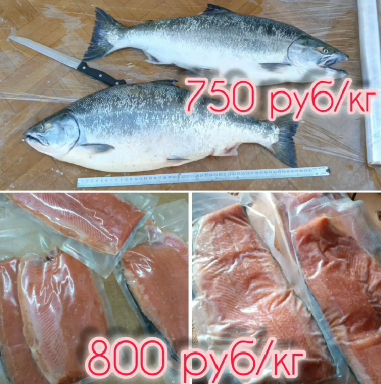 Продажа свежемороженой симы и солёной горбуши - Рыбалка и рыбная продукция (Хобби и отдых) в Артём