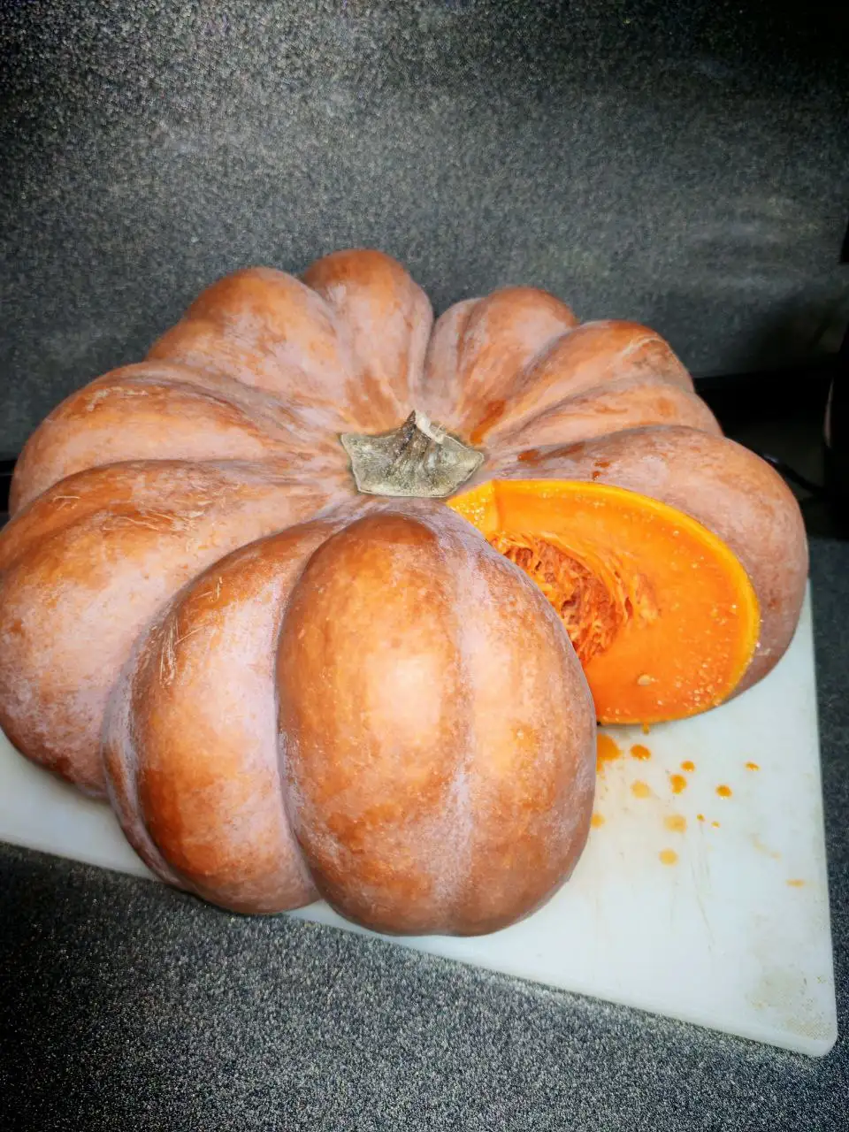 Семена Мускатной тыквы - Садоводство (Хобби и отдых) в Владивосток