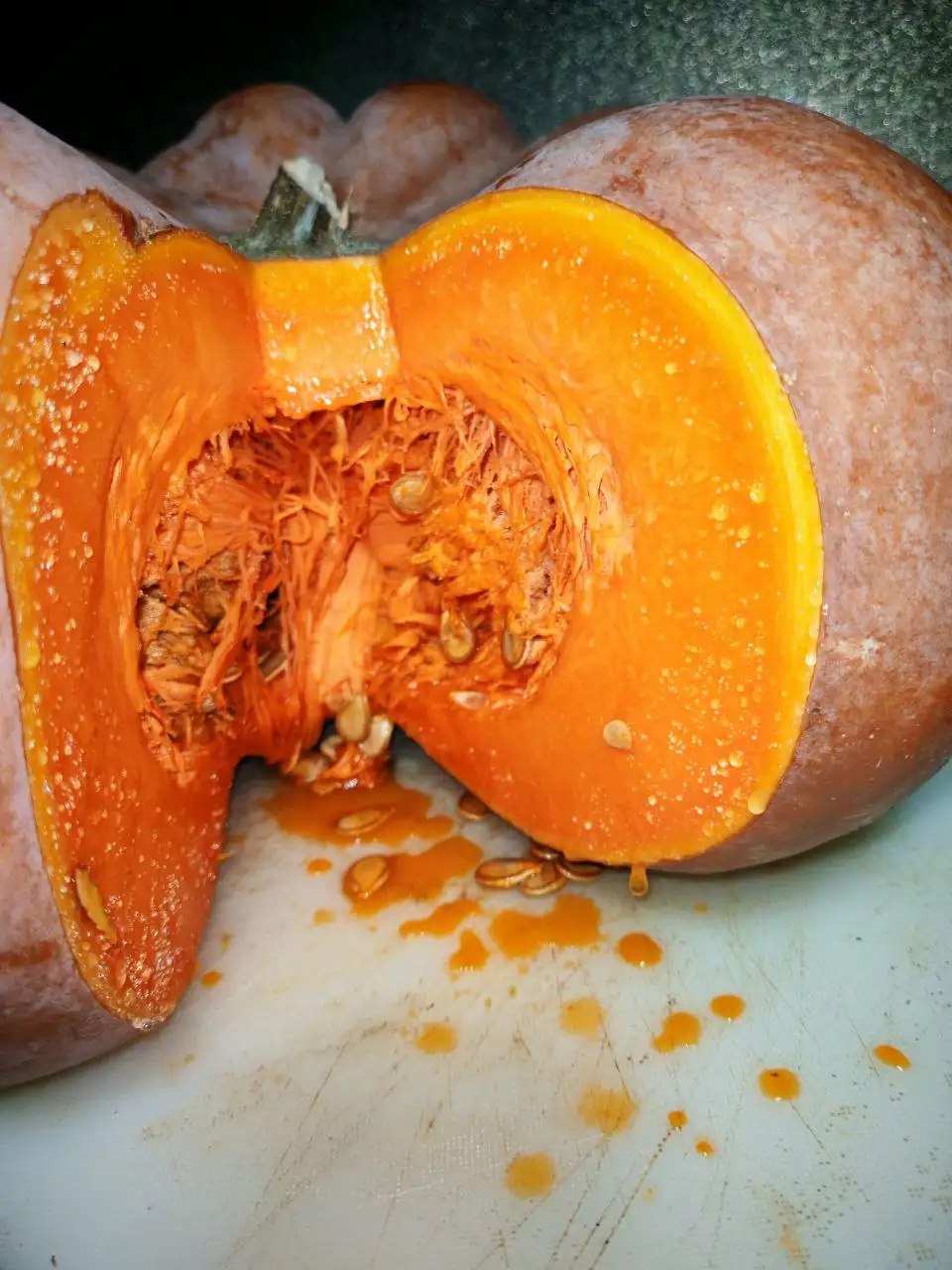 Семена Мускатной тыквы - Садоводство (Хобби и отдых) в Владивосток