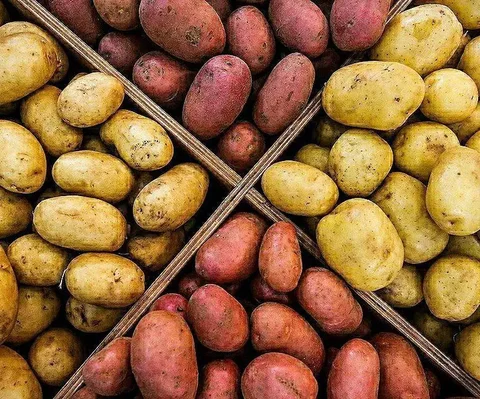 Продажа картофеля и моркови от производителя - Рабочие перчатки в Владивосток