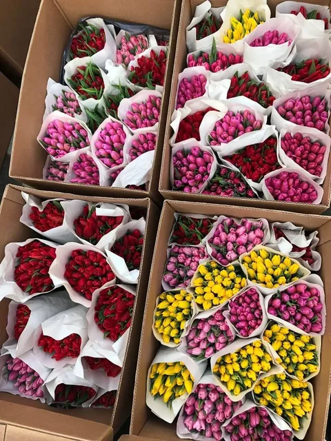 Прием заказов с бесплатной доставкой до 7 марта - Татуировки в Владивосток