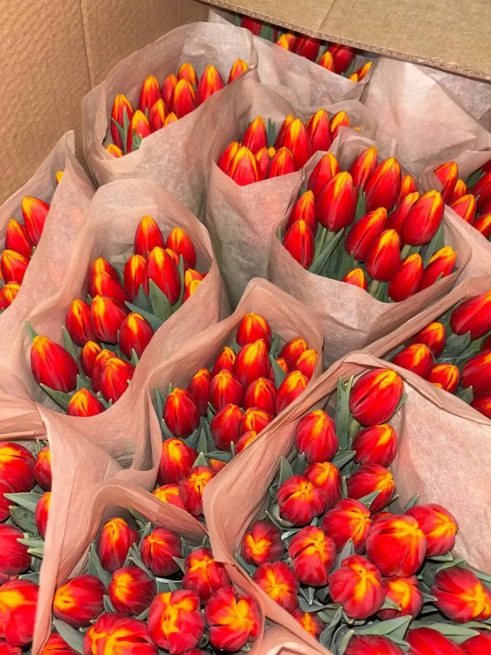 Прием заказов с бесплатной доставкой до 7 марта - Услуги в Владивосток