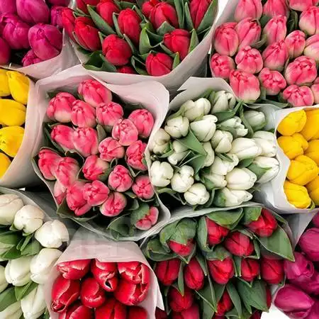 Прием заказов с бесплатной доставкой до 7 марта - Услуги в Владивосток