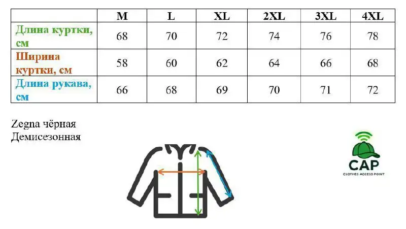 Демисезонная куртка Zegna черная - Верхняя одежда (Одежда) в Владивосток