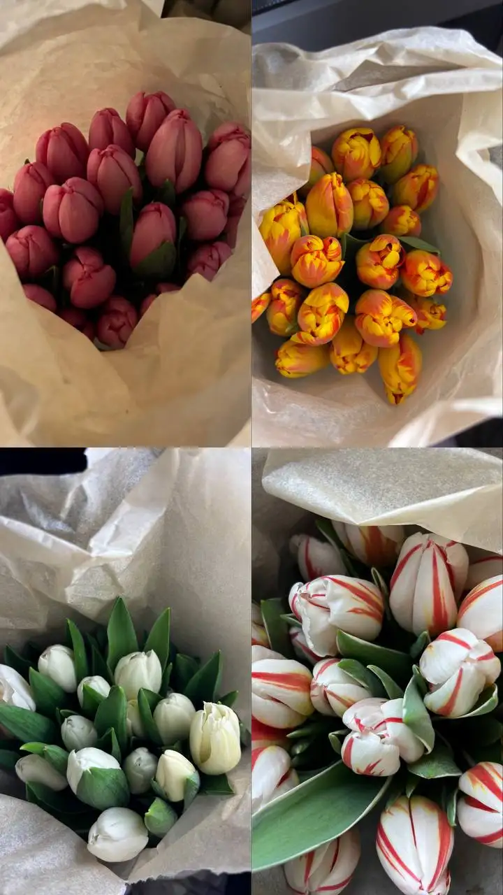 Тюльпаны крупные красивые 11 видов - Цветы (Барахолка) в Владивосток