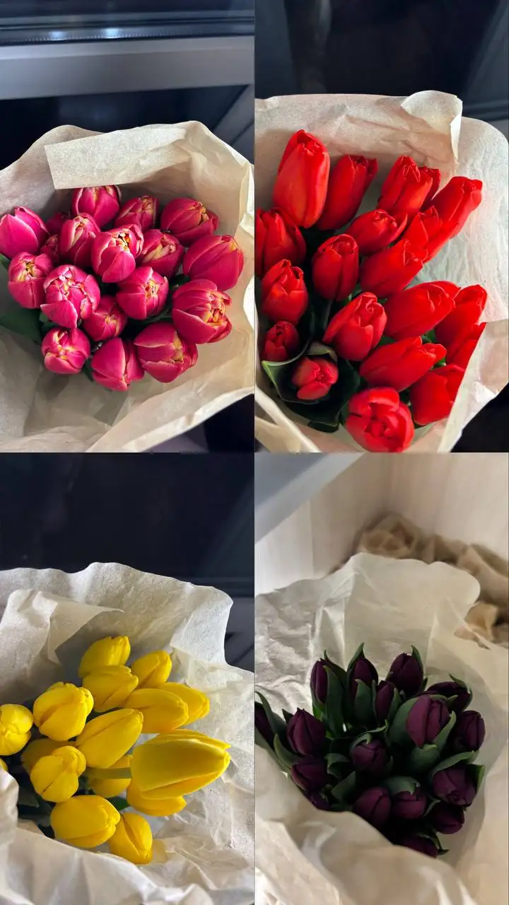 Тюльпаны крупные красивые 11 видов - Цветы (Барахолка) в Владивосток