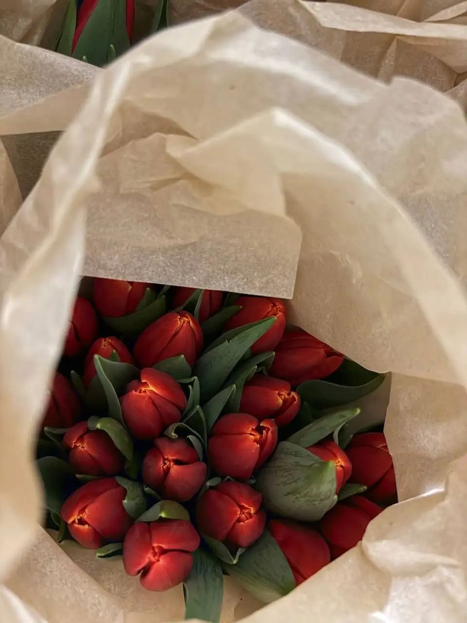 Тюльпаны крупные красивые 11 видов - Цветы (Барахолка) в Владивосток
