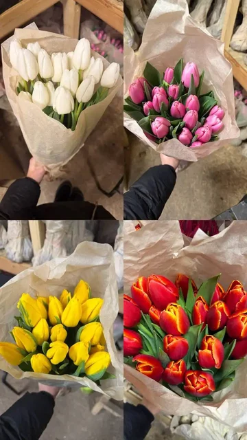 Предзаказ свежих тюльпанов с доставкой - Сад и огород в Владивосток