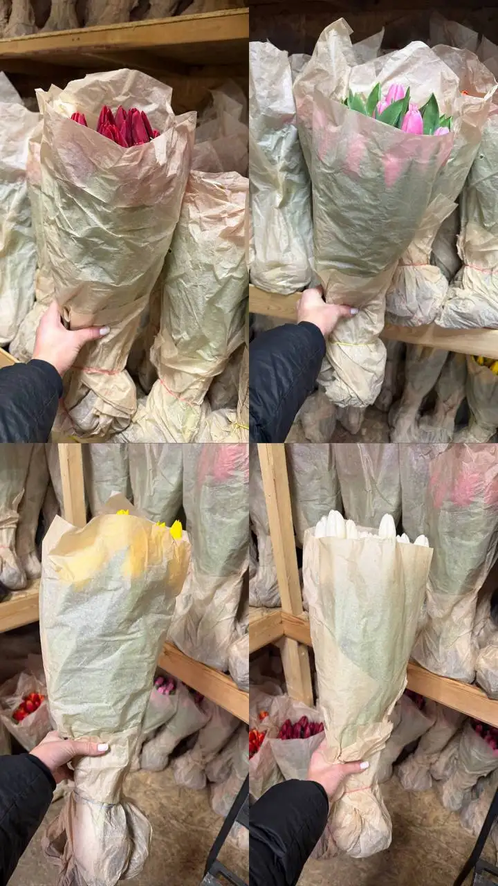 Предзаказ свежих тюльпанов с доставкой - Цветы (Хобби и отдых) в Владивосток