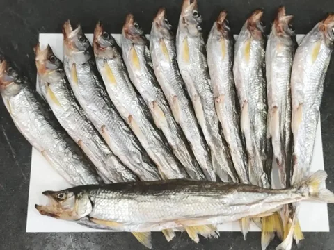 Продажа свежей зубари/корюшки в Южно-Сахалинске - Спортивный инвентарь в Южно-Сахалинск