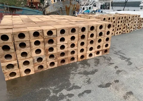 Продам ловушки на осьминога из дуба - частное объявление в Владивосток