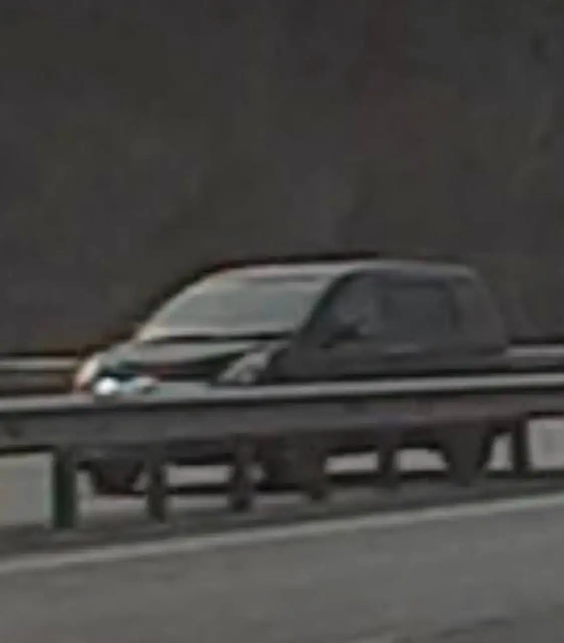 Сбита собака Стелла в районе Артема - Животные в Владивосток