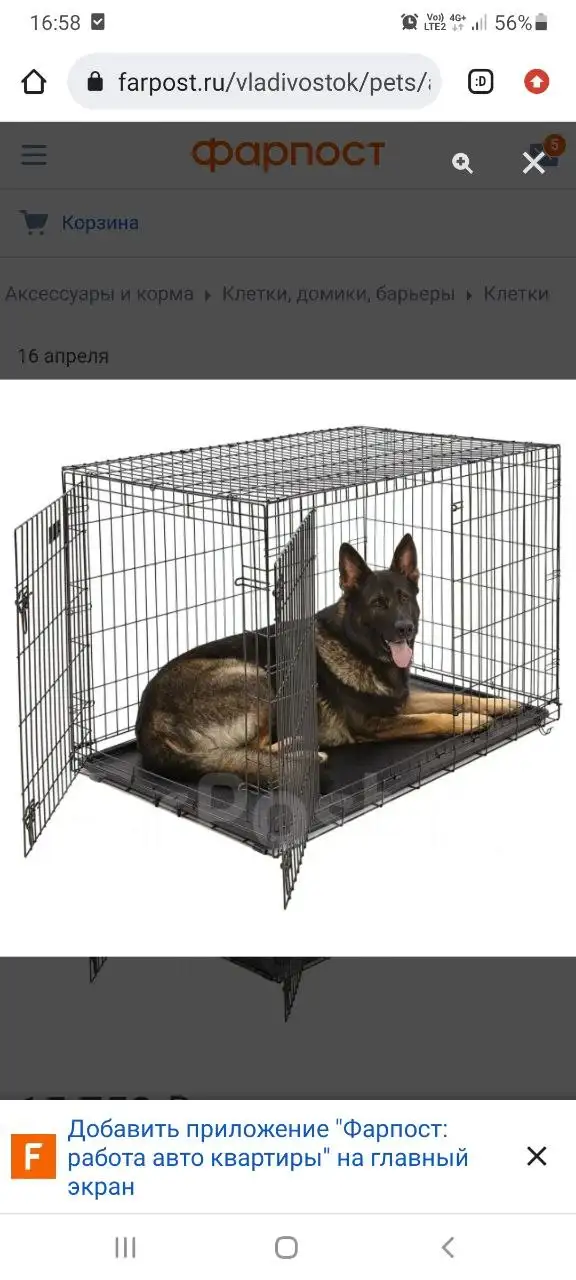 Клетка для собаки 122×76×80 - Товары для собак (Животные) в Владивосток