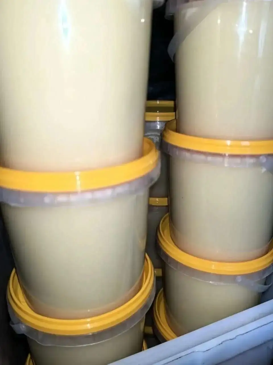 Липовый мёд 2025 года - Продукты питания (Хобби и отдых) в Хабаровск