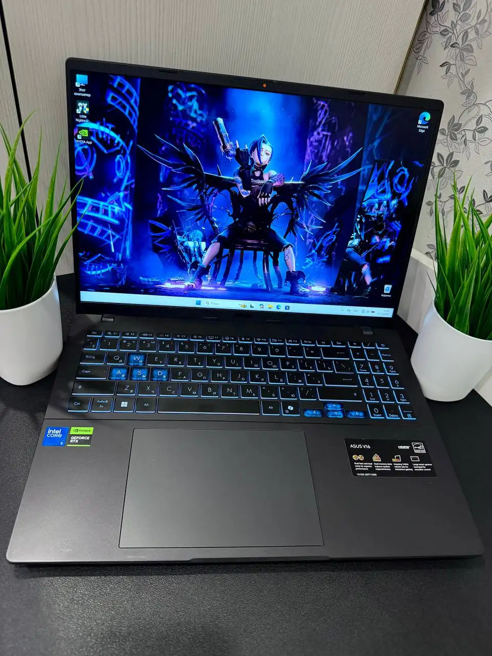 Продажа ноутбуков MSI, ASUS, Thunderobot, HP - Ноутбуки (Электроника) в Владивосток