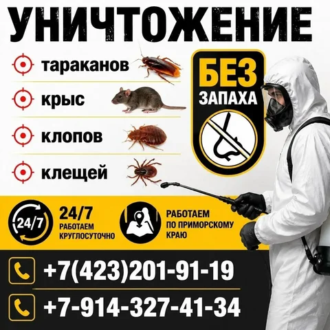 Уничтожение тараканов, клопов и грызунов в Приморском крае - Кондитерские изделия в Владивосток