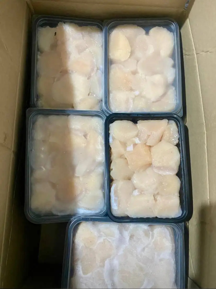 Филе приморского гребешка - Морепродукты (Еда) в Артем