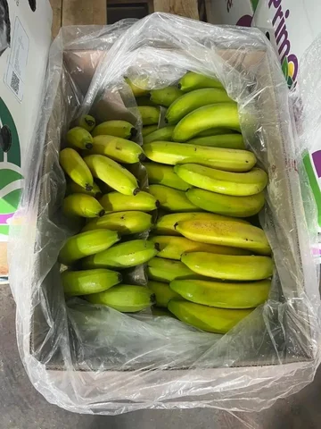 Продам бананы Эквадор (от 1 ящика) с бесплатной доставкой - Прочее в Владивосток
