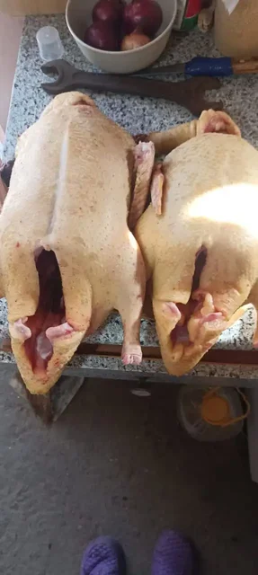 Заказ домашнего мяса к 8 марта - Инструменты в Краснодар