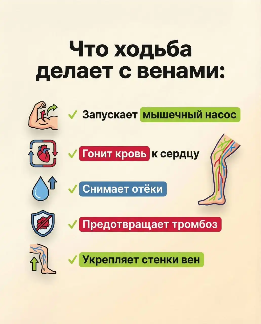 Продажа автобусов в Якутске - Автобусы (Авто) в Якутск