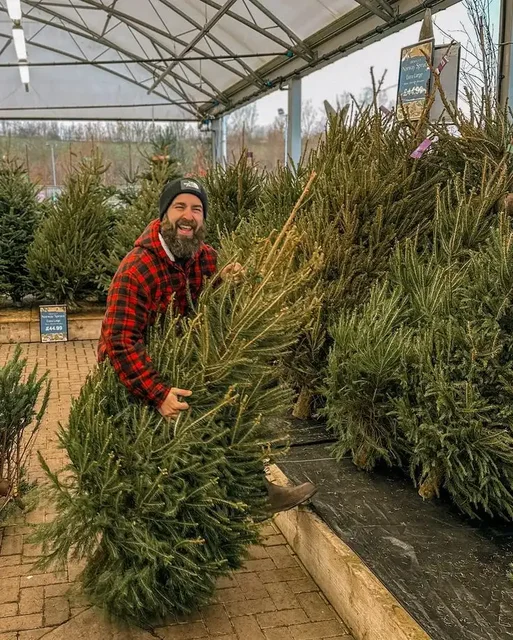 Продажа живых елей, сосен и пихт премиум-класса - Хобби и отдых в Москва