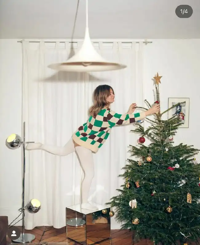 Продажа живых елей, сосен и пихт премиум-класса