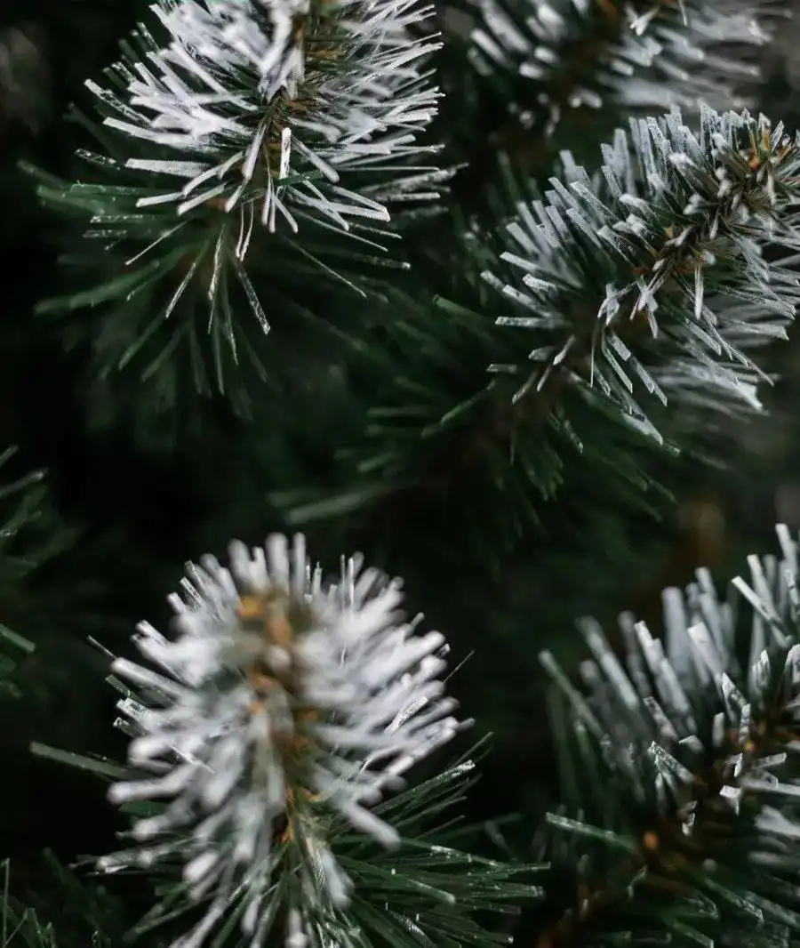 Пушистая заснеженная ёлочка с гирляндой