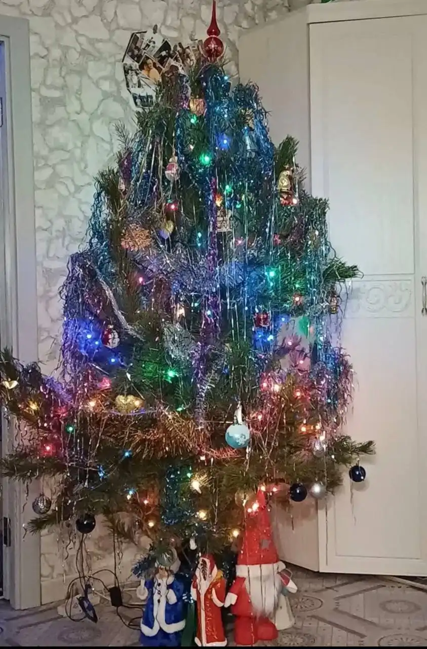 Продажа новогодних ёлок в Борисовке