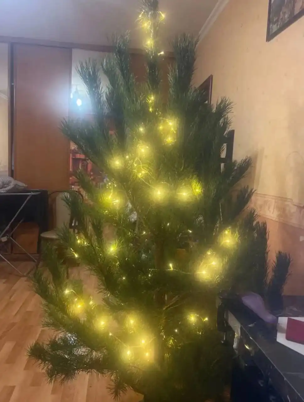 Продажа новогодних ёлок в Борисовке