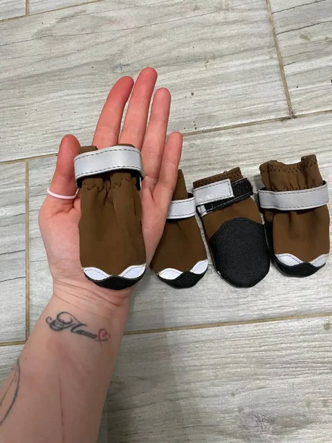 Ботинки для собаки, одели 1 раз - Животные в Мытищи