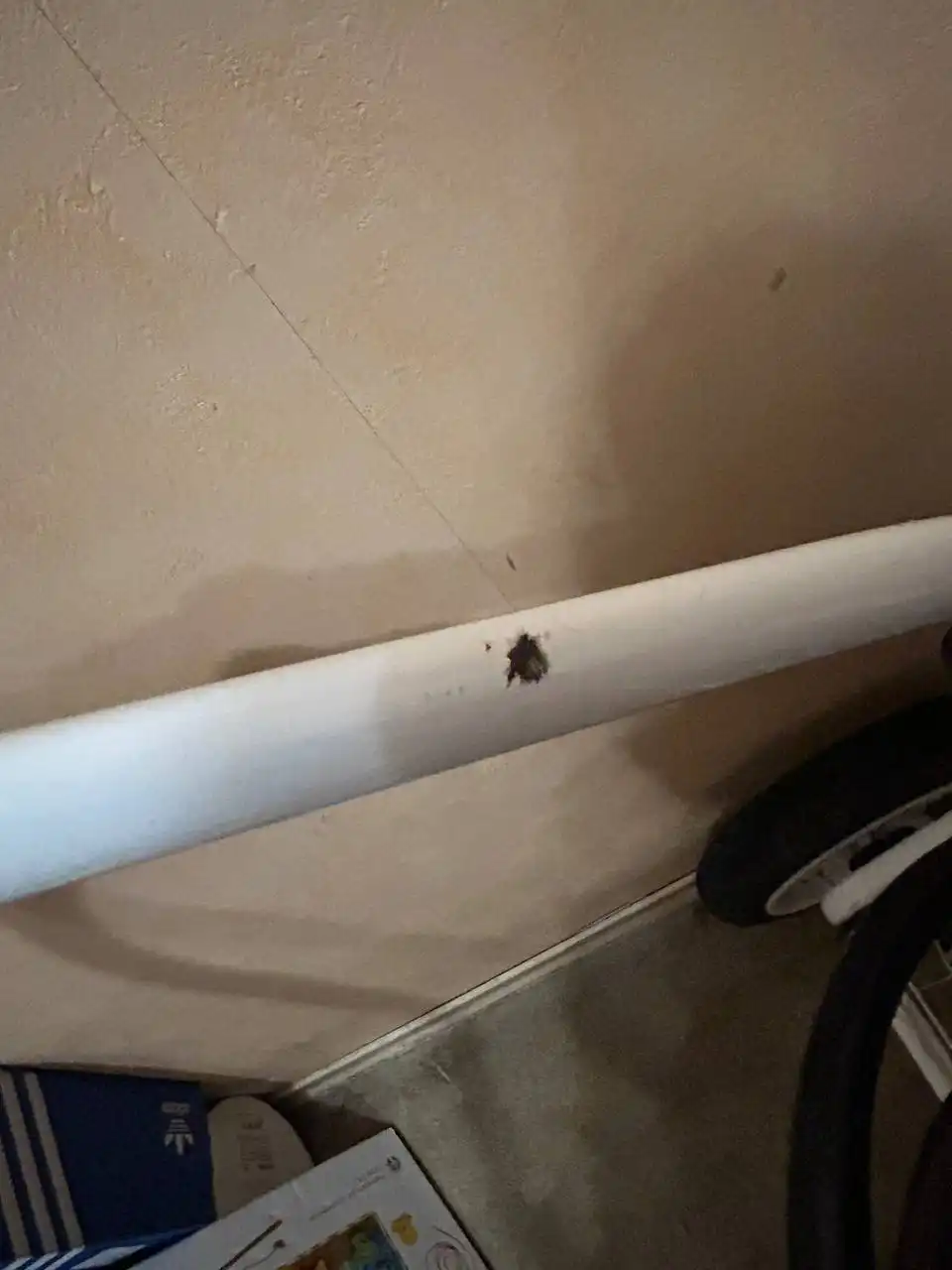 Коляска фирмы Rant 2в1 с дефектами - Коляски (Товары для детей) в Мытищи