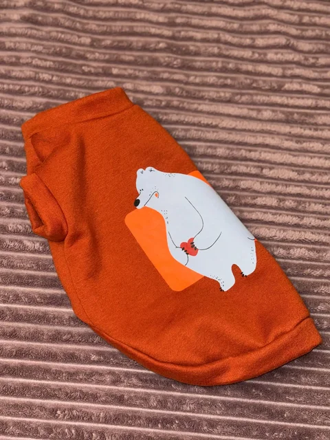 Толстовка для собаки - Приюты в Мытищи