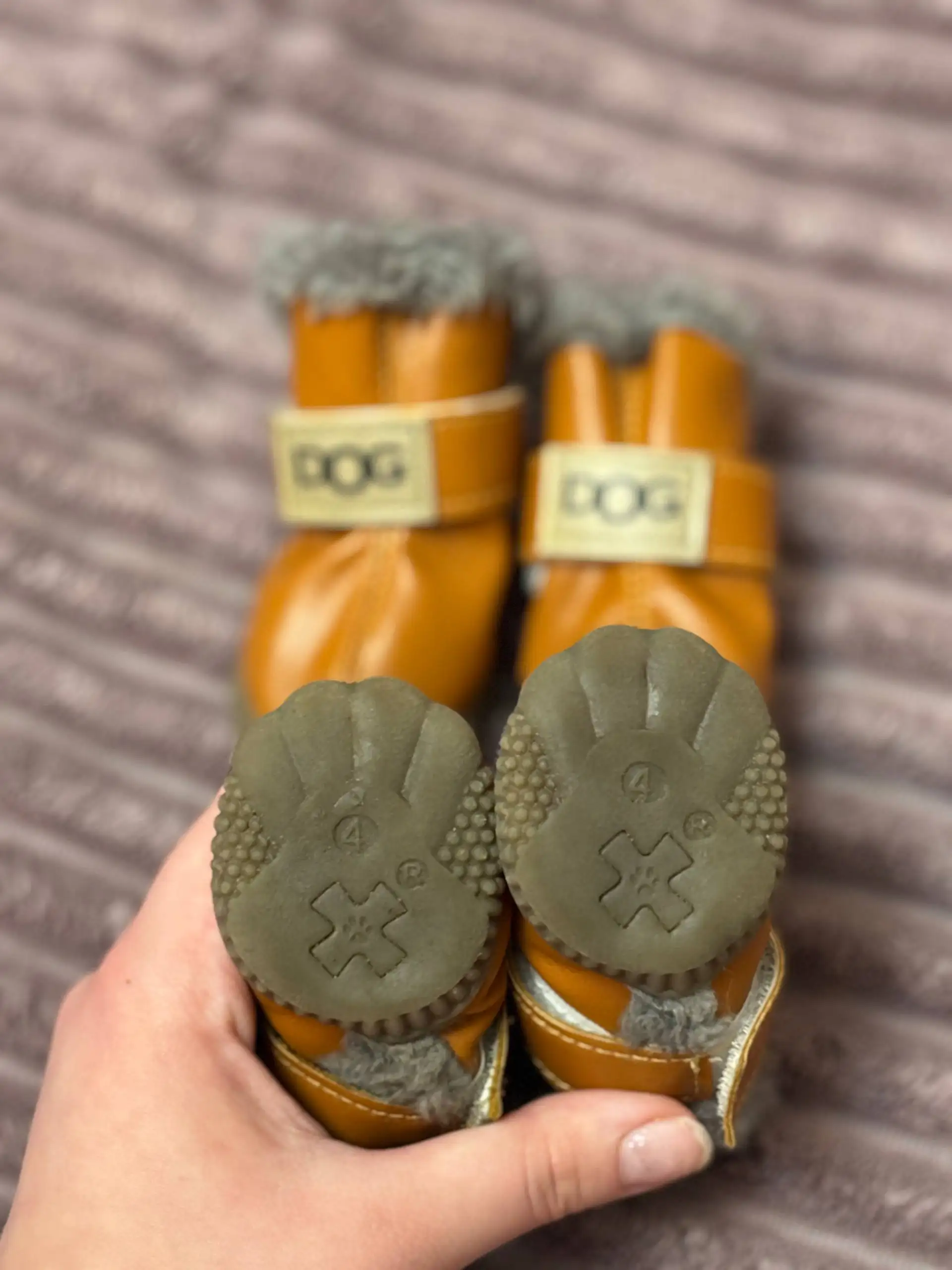 Ботиночки для собаки размер 4 - Аксессуары для животных (Животные) в Мытищи