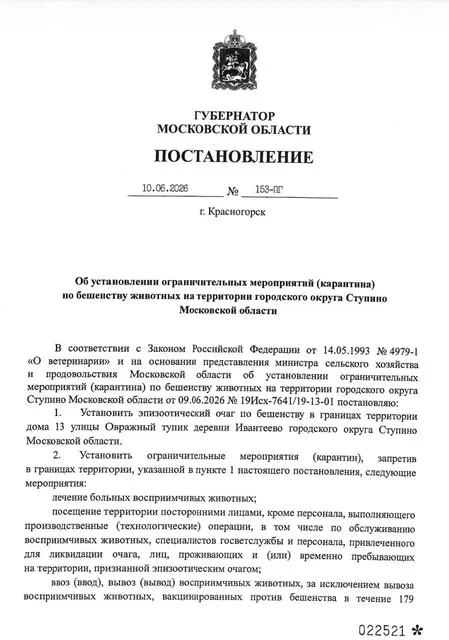 Карантин из-за бешенства в Мытищах и Ступино - частное объявление в Мытищи